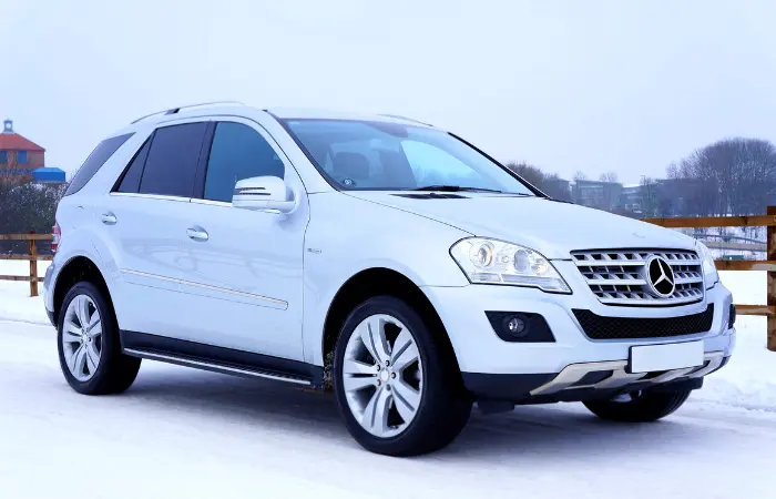 Professional Service